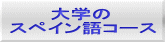 　　　大学の スペイン語コース